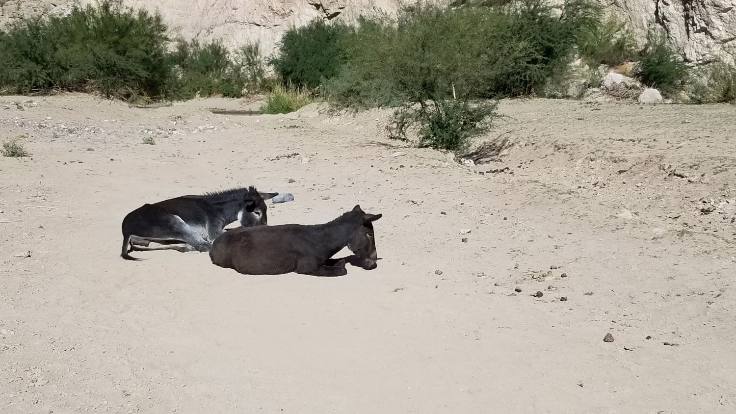 Boquillas Canyon Hike 